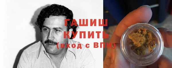 индика Алзамай
