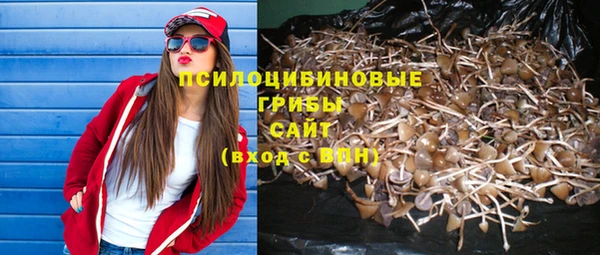 стафф Алексин