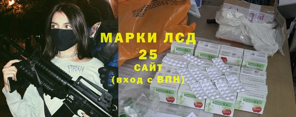 индика Алзамай